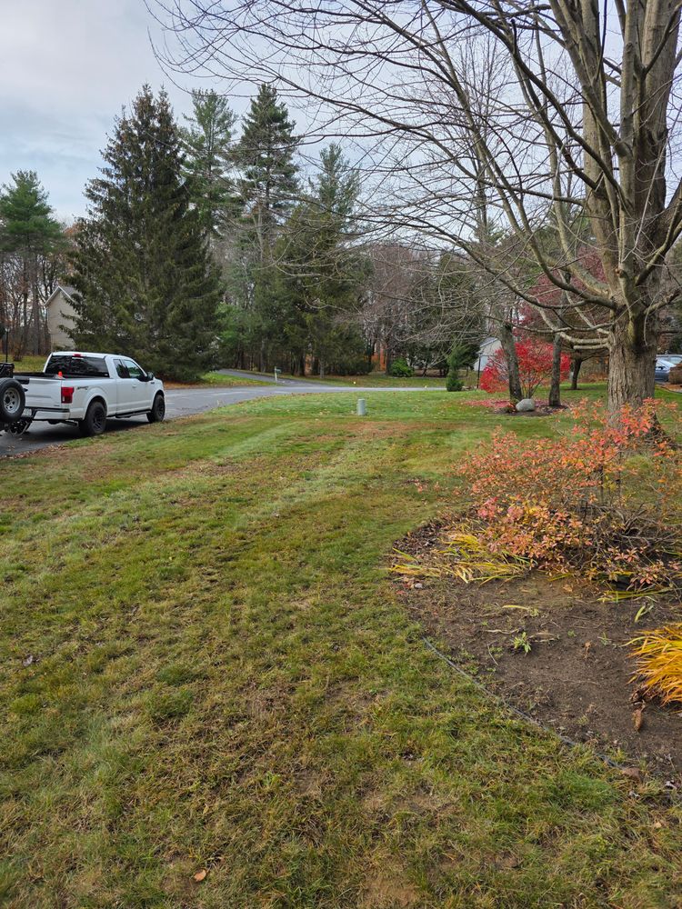 All Photos for Sweet Scapes in Ballston Spa, NY