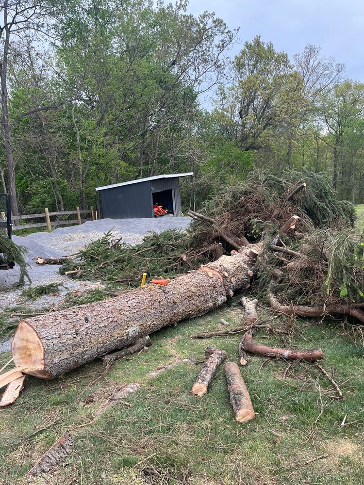 Tree Removal for Scott’s Tree Service, LLC in Winchester, VA