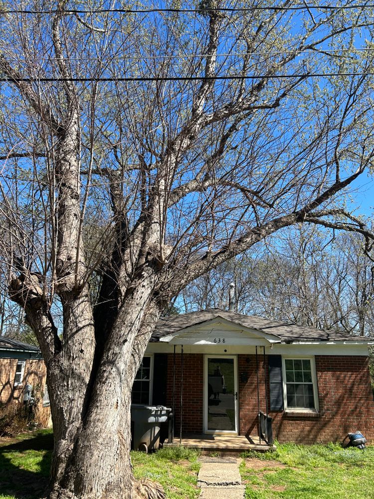 All Photos for Oakhurst Landscaping and Tree Service in Charlotte, NC