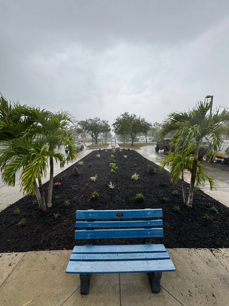 All Photos for Rize N’ Grind  in Punta Gorda, FL