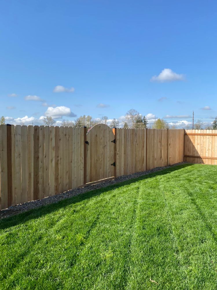 Lawn Care for Willamette Landscaping and Tree Services in Albany, OR