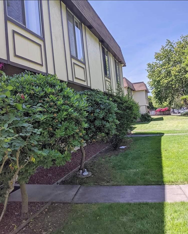 Landscaping for RHS in San Jose, CA