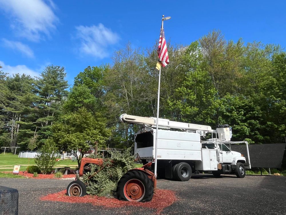 Tree Removal for Harley’s Tree Service in Palmer, MA