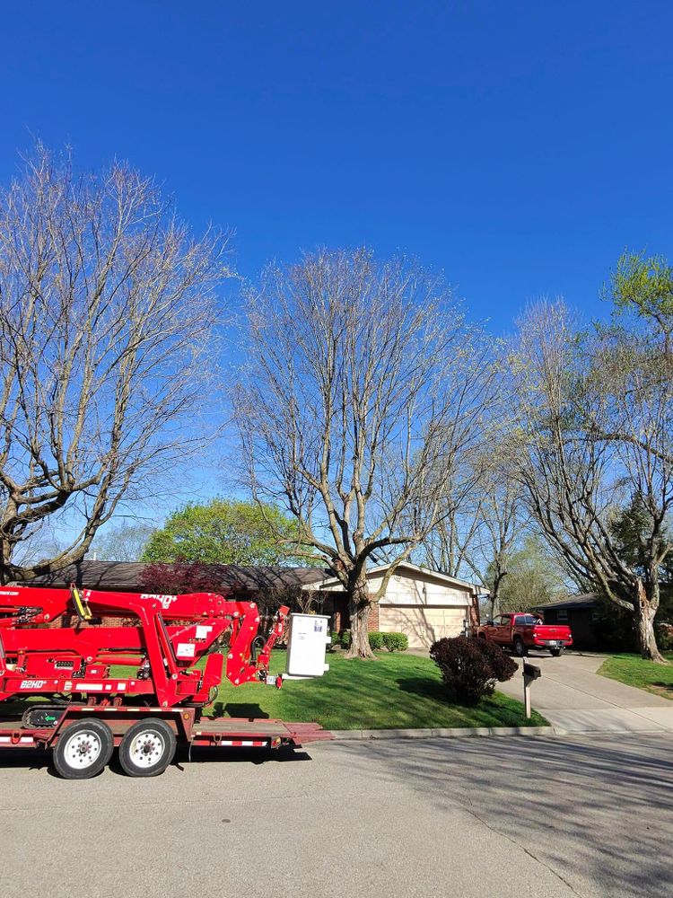 All Photos for F & F Tree Service in Beavercreek, OH