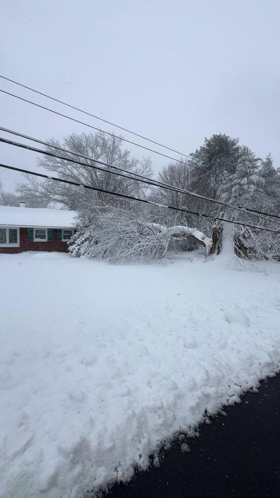 All Photos for Etherton’s Tree Service in Quinton, NJ