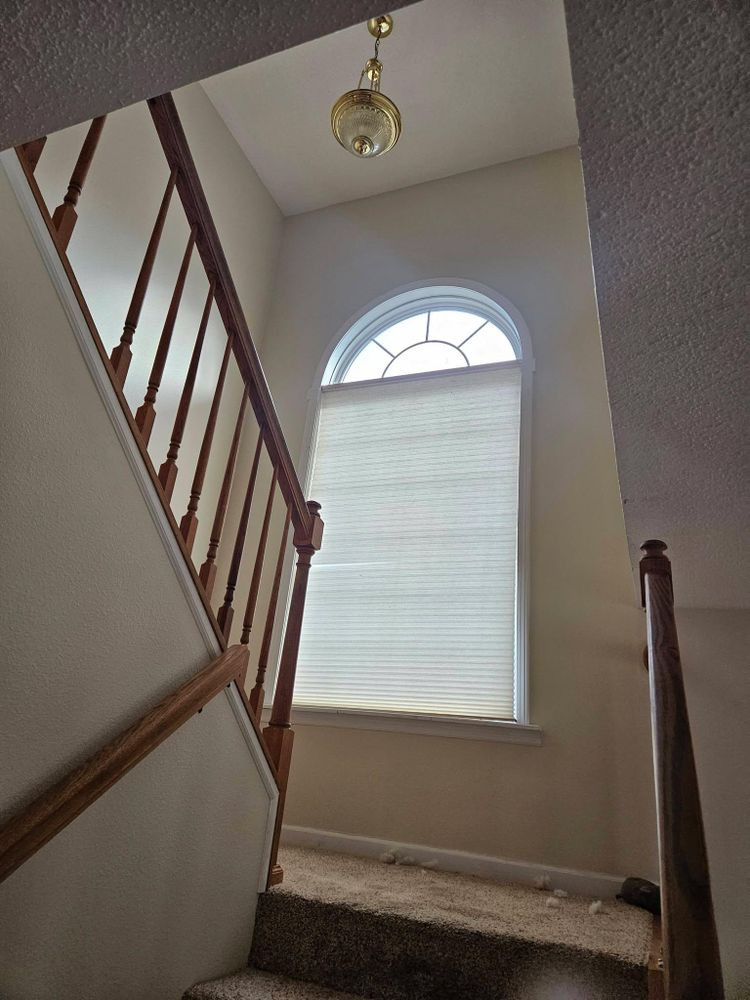 All Photos for Loving 217 Homes in Chatham, IL