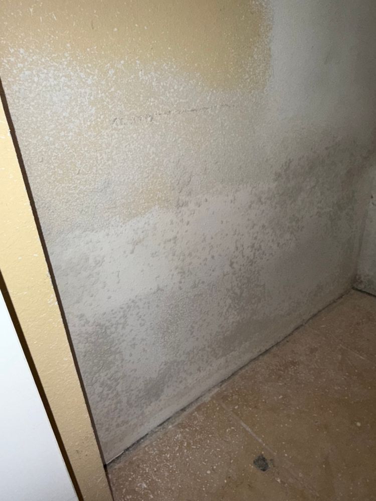 All Photos for Spirit Enterprise Construction in Tampa Bay, FL