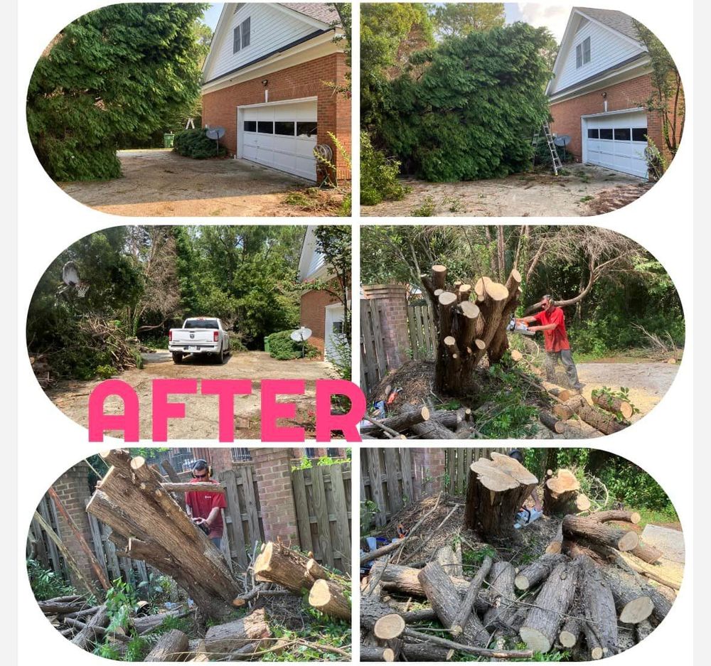 All Photos for Pink Pelican Tree Service & Landscaping in Columbia, SC