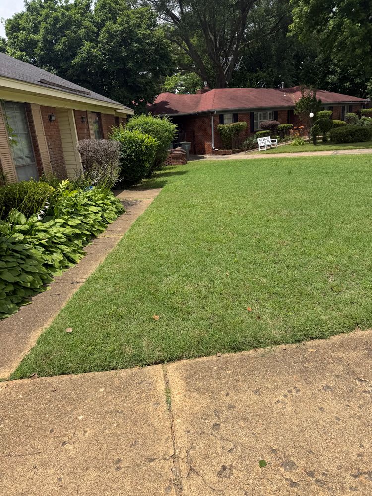 All Photos for Kingdom Landscaping in Memphis, TN
