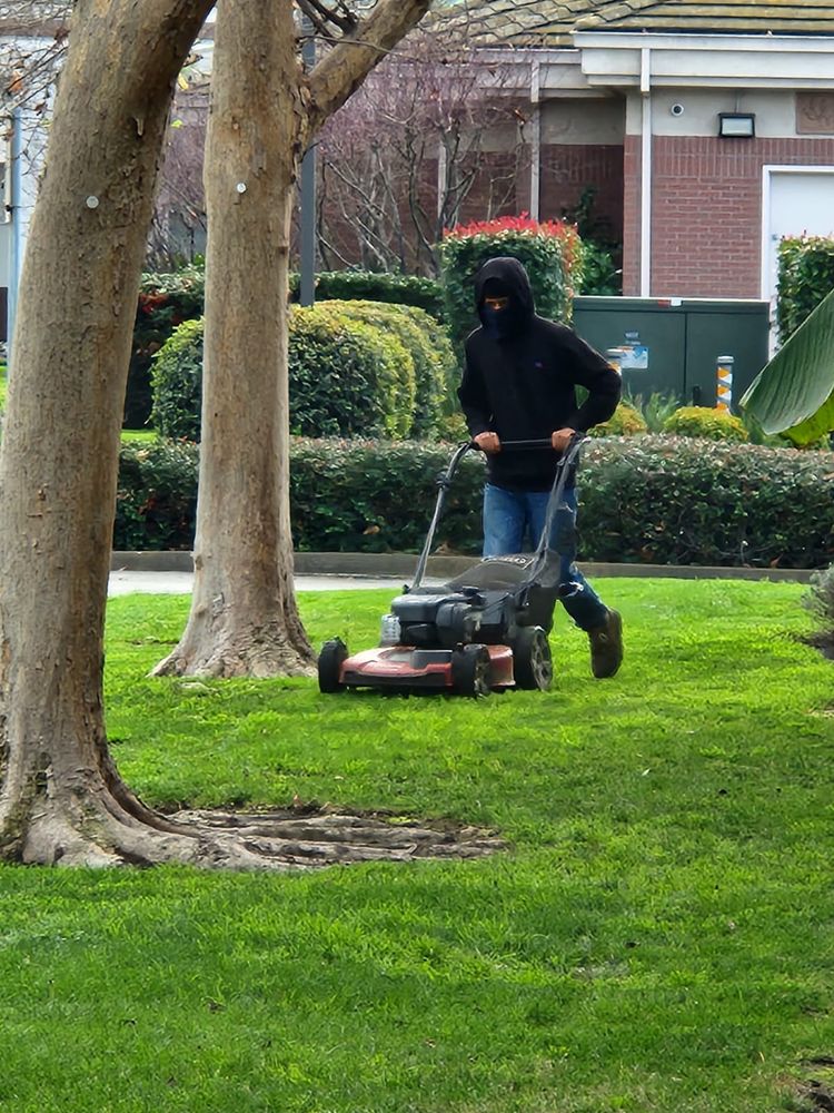 Vargas LANSCAPE LLC team in Stockton, CA - people or person