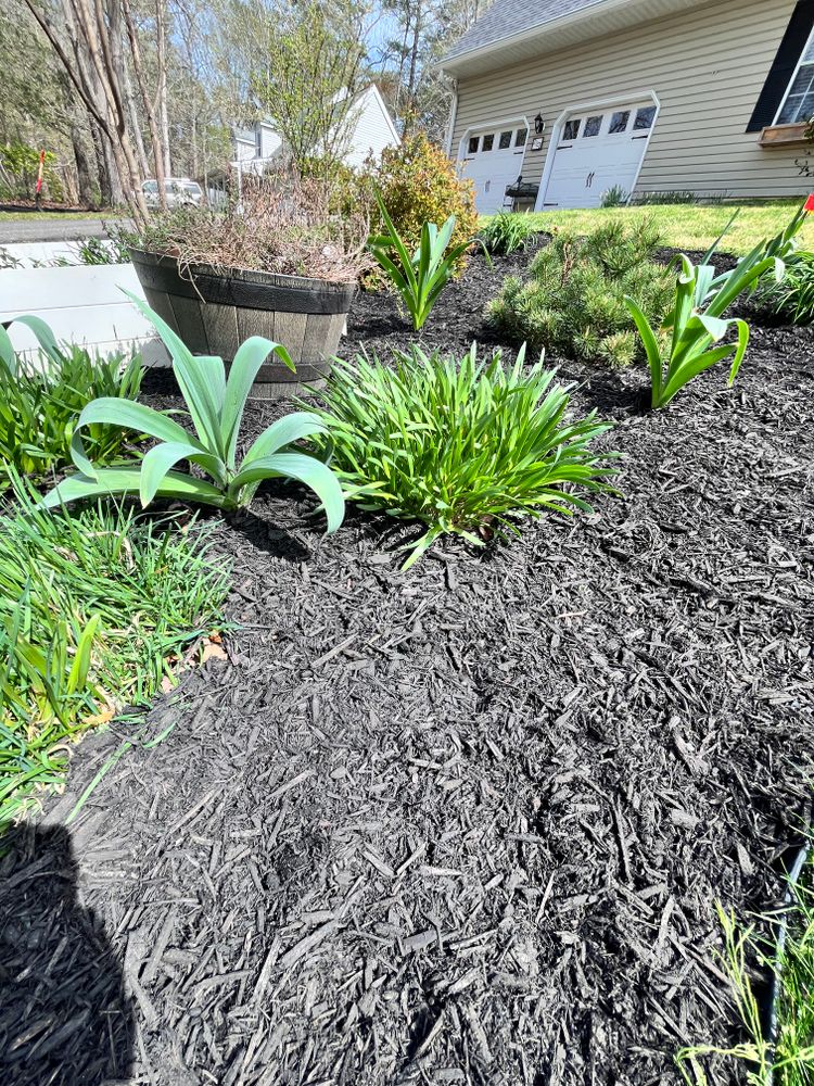 All Photos for John Page Landscaping in St. Mary's County, MD