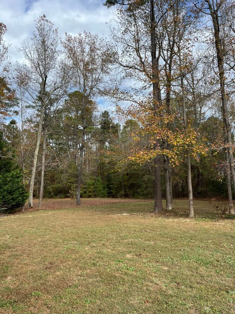 All Photos for C + C Landscaping in Chesterfield, VA