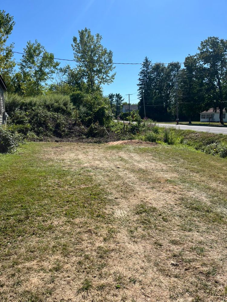 All Photos for Helfert Tree Service in Boonville, NY