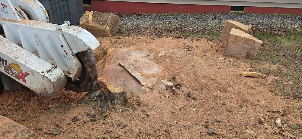 Stump Grinding for Hamlett Tree Service LLC in Clover, VA