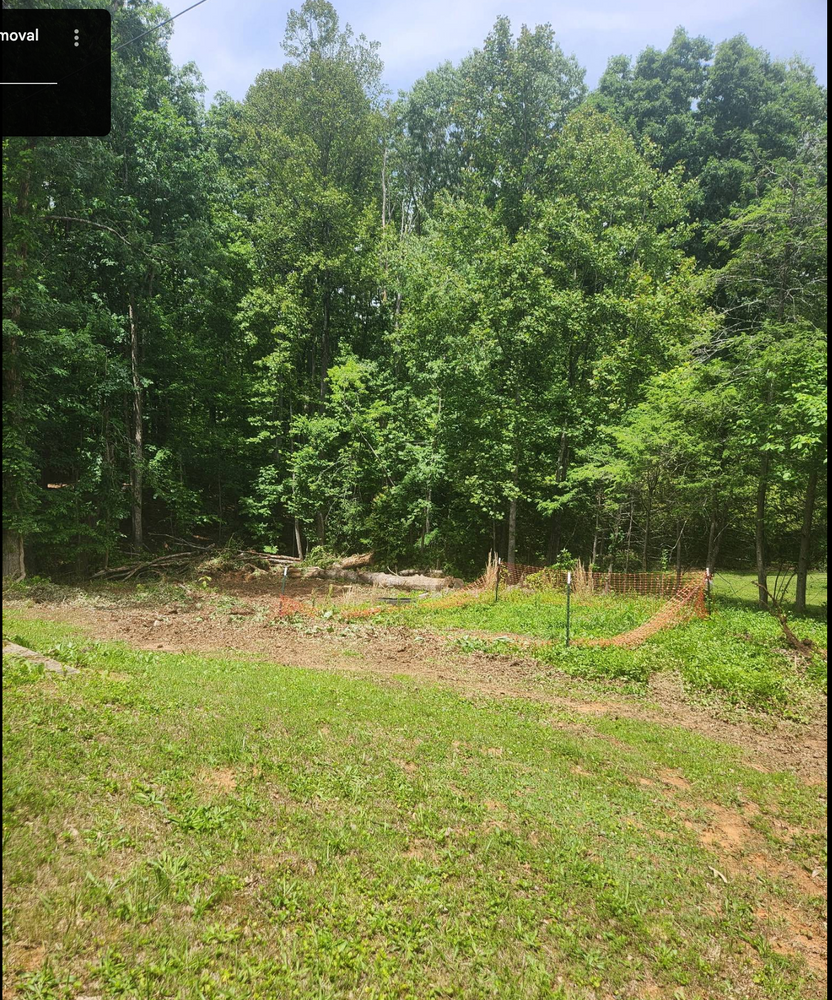 All Photos for Hamlett Tree Service LLC in Clover, VA