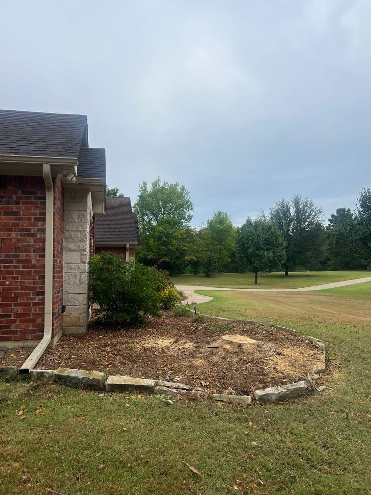 Tree Removal for Best Price Tree Service in Hallsville, TX