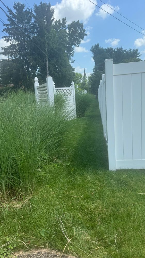 All Photos for Green Stripes LLC in North Canton, OH