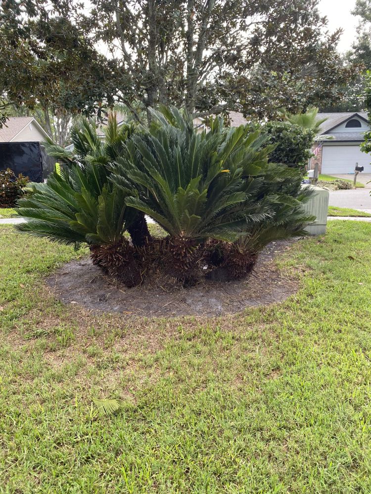 Mowing for Lawns By St. John in North East, Florida