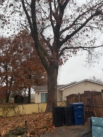 All Photos for Dittmer Tree Service in Davenport, IA