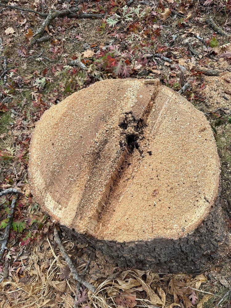 All Photos for Fransen's Tree Service  in Freeport, IL