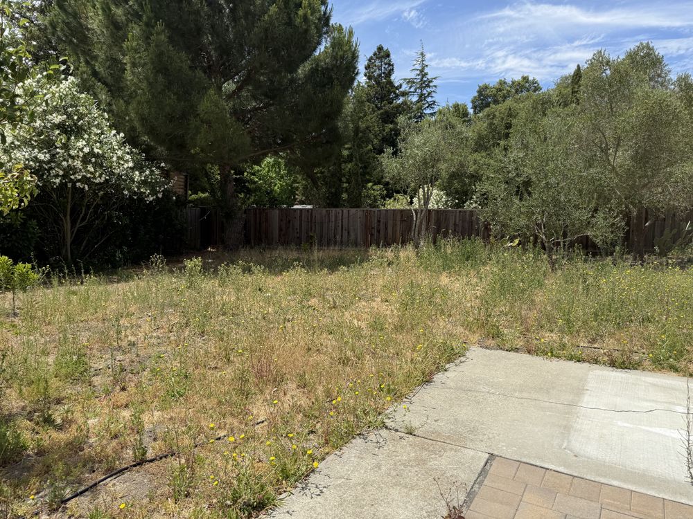 All Photos for CBA Landscaping in Hayward, CA