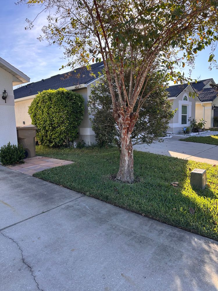 All Photos for Ludlows Services in Clermont, FL