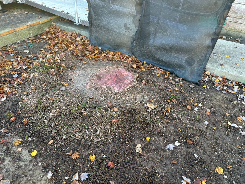 All Photos for Conrad's Stump Removal in Columbus, IN