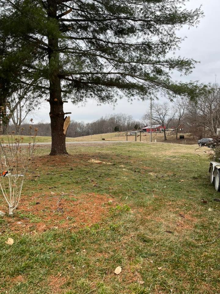 All Photos for Garcia Lawn Service & Landscaping in Lafayette, TN