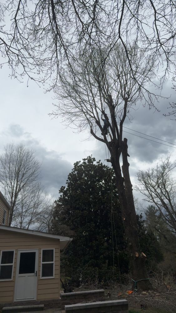 All Photos for VA Landgrowth LLC in Lexington, VA