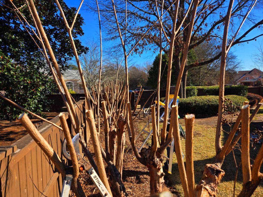 All Photos for Zepeda's Mowing in Fort Valley, GA