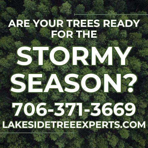 All Photos for Lakeside Tree Experts LLC in Hartwell, GA