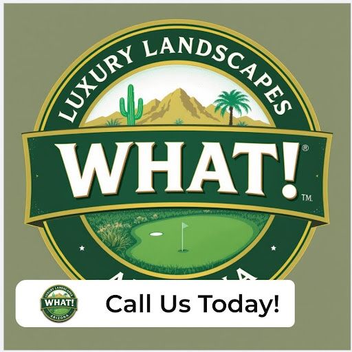 All Photos for WHAT! Luxury Landscapes, LLC. in Chandler, AZ