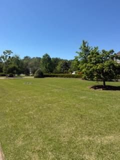 All Photos for Turf's Up!  in Lumberton, NC