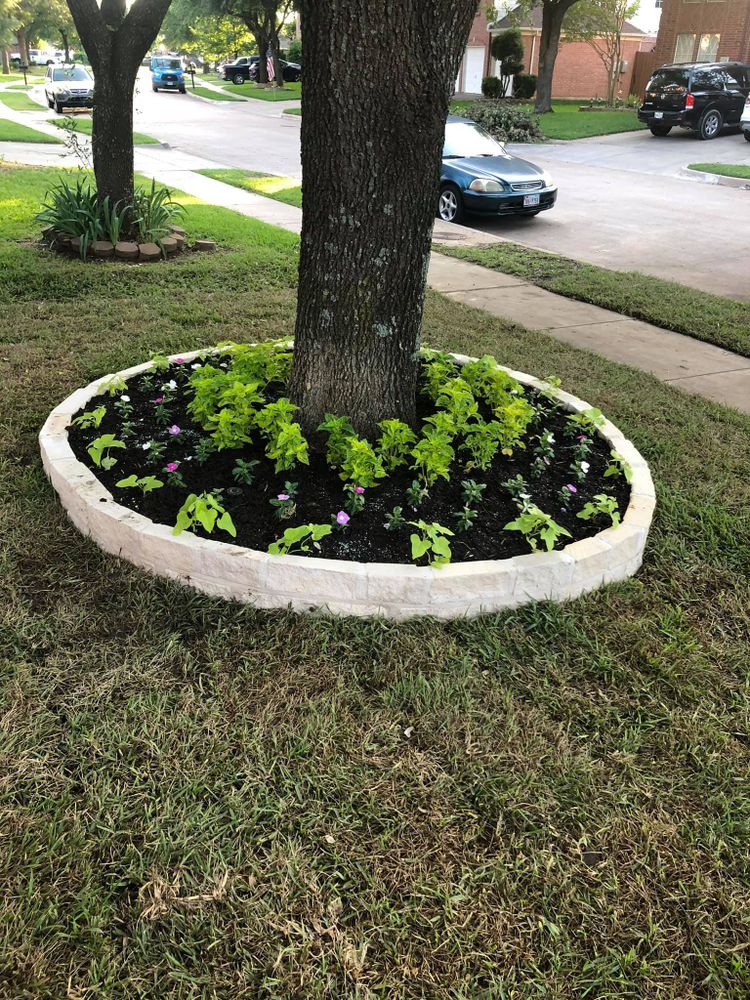 Seasonal color changes for Guerrero's Landscape in Fort Worth,  TX