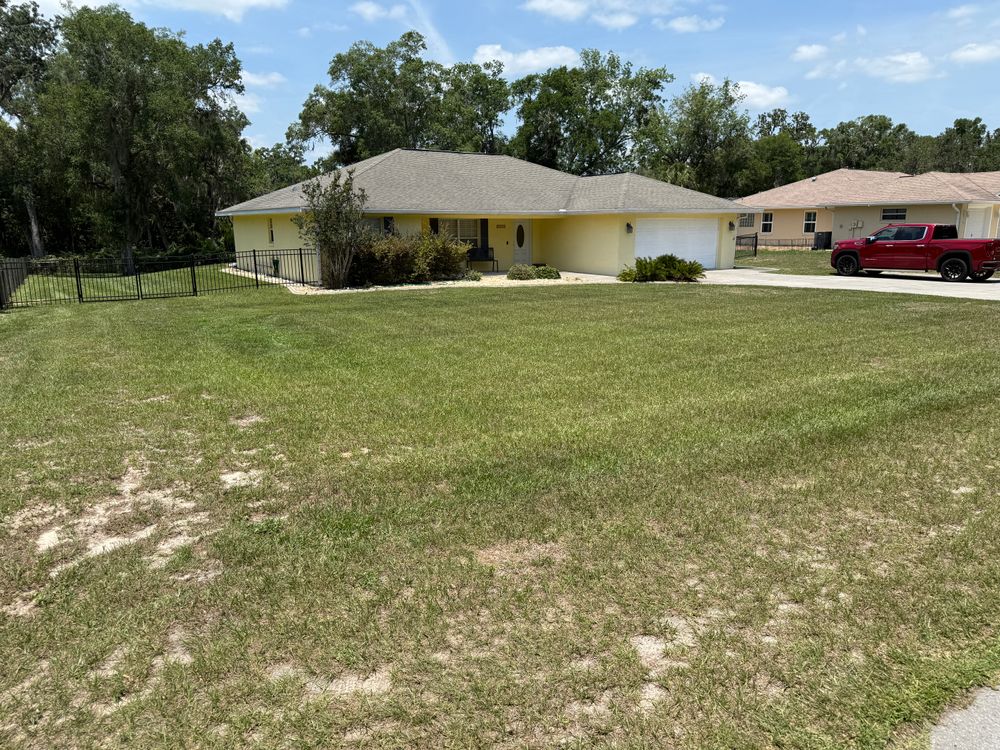 All Photos for Top Gun Lawn Care in Citrus County, FL