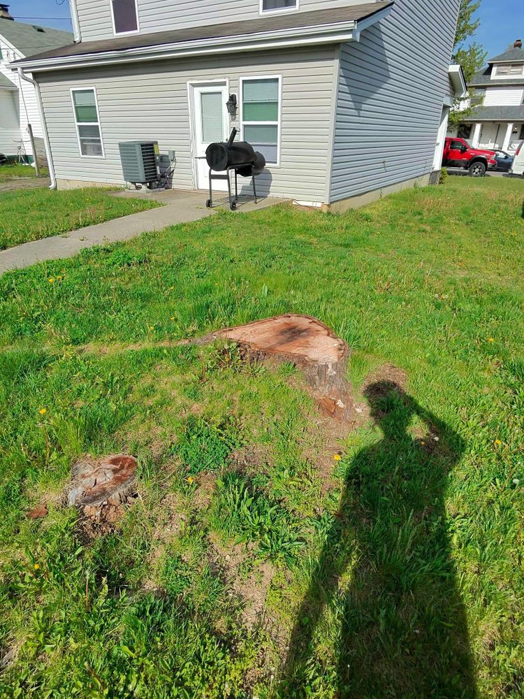 All Photos for F & F Tree Service in Beavercreek, OH