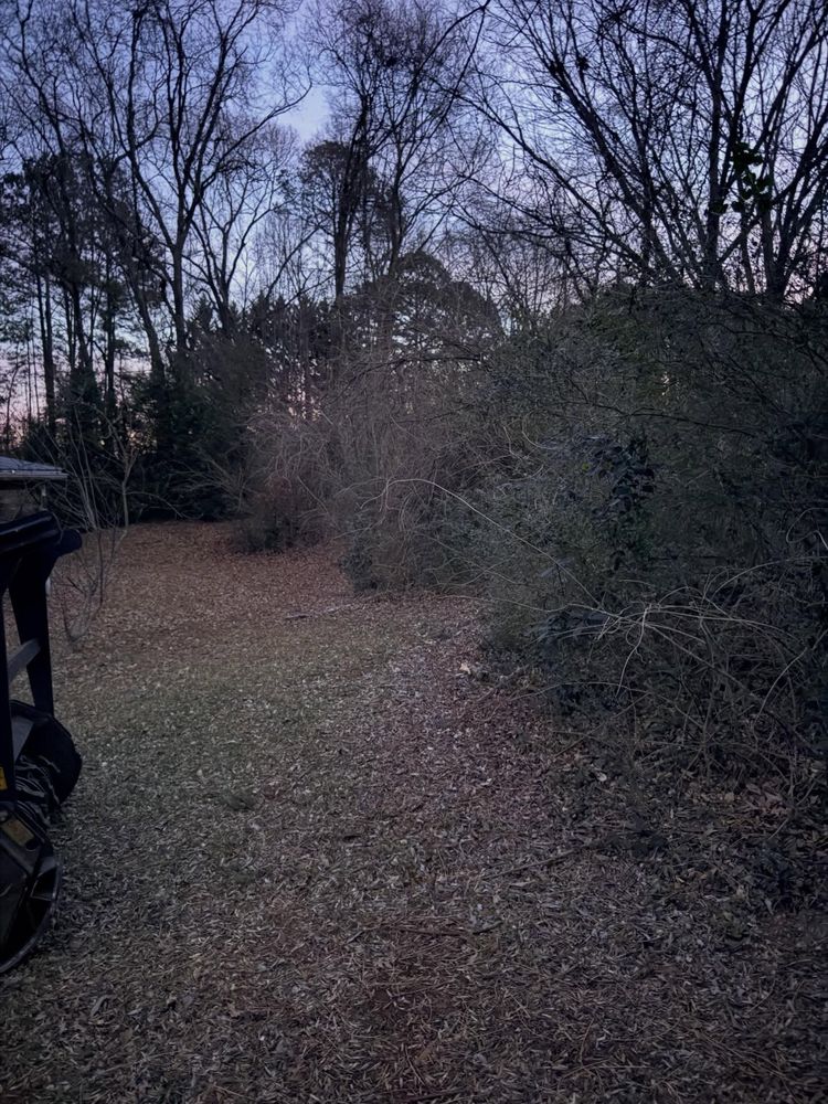 All Photos for T Crane Grading LLC in Clarkesville, GA