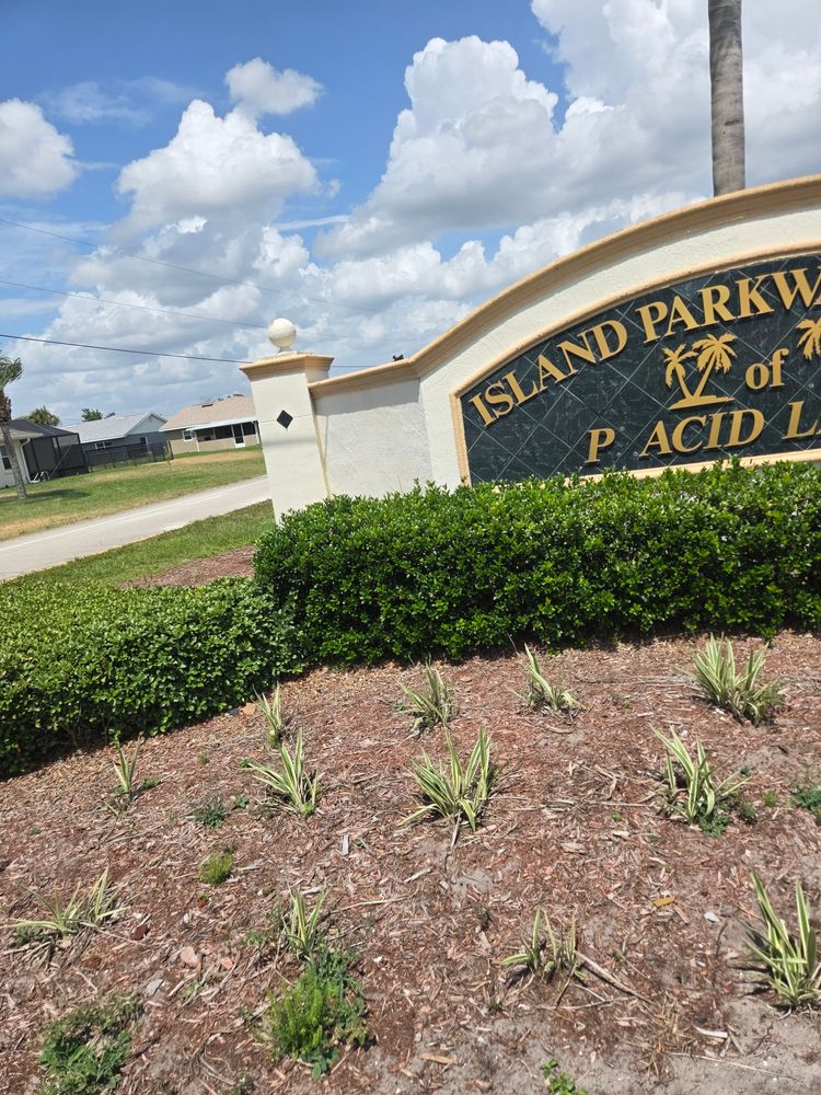All Photos for Above the Lawn Cuts and Pressure Washing in Sebring, FL