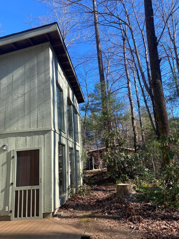Tree Trimming for Andy's Tree Service in Zirconia, NC