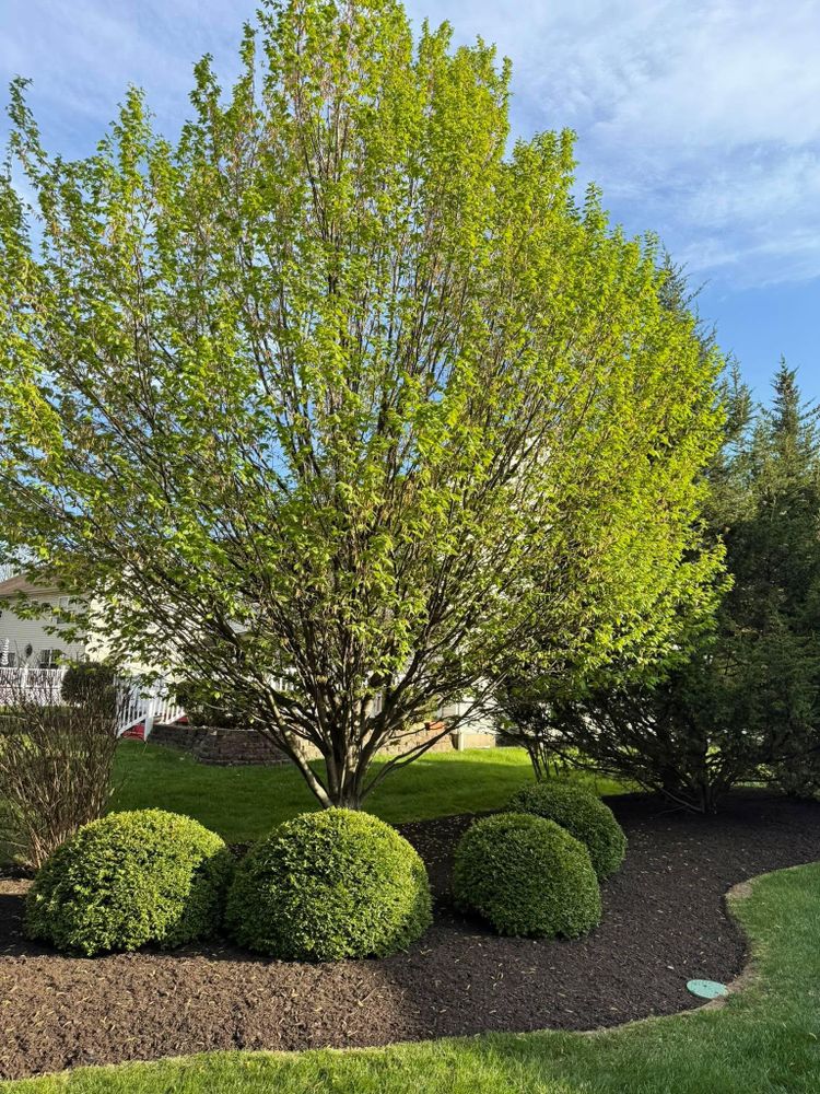 All Photos for The FAAR Group INC in Chalfont, PA