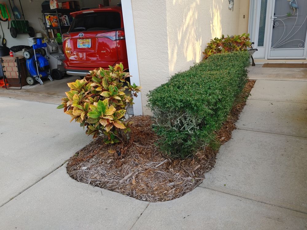 All Photos for Epic Vine Design in Melbourne, FL