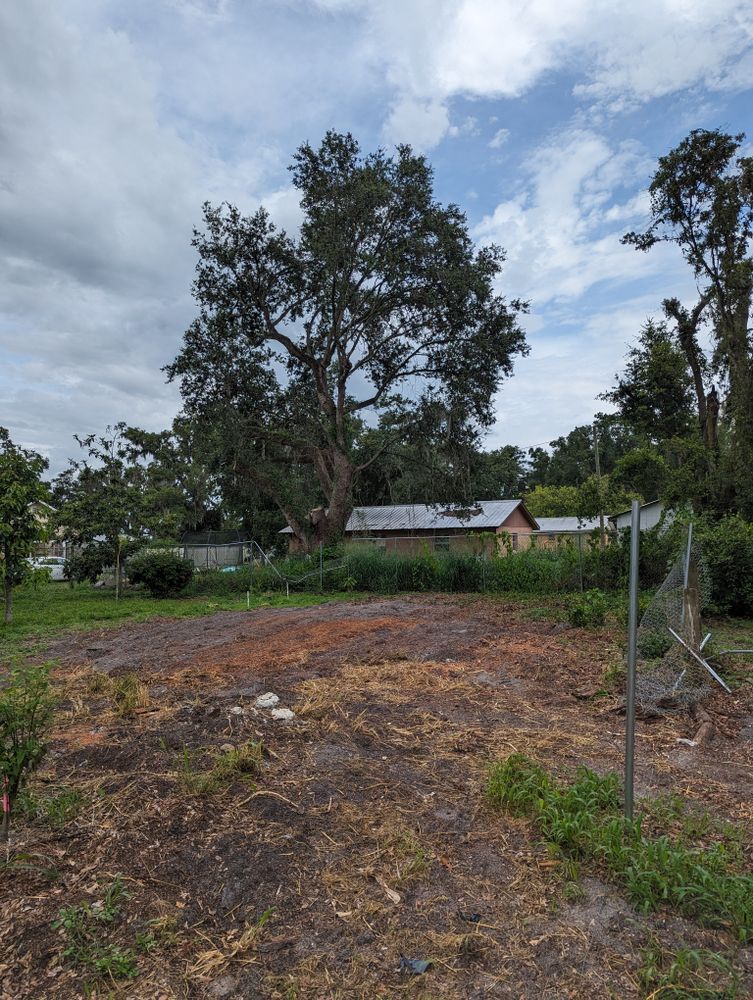 All Photos for Regal Tree Service and Stump Grinding in Wauchula, FL