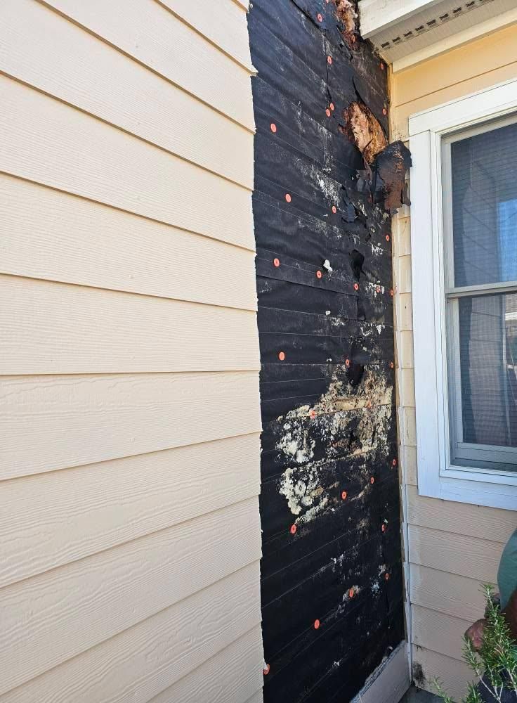 All Photos for DL Construction & Flooring in Morehead City, NC