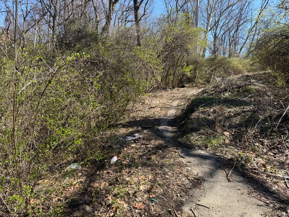 All Photos for A1 Bush Hogging & Lawn Service in London, OH