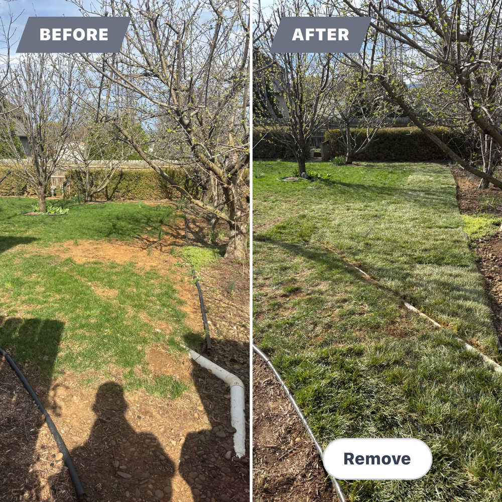 All Photos for Backyard Acres Lawncare LLC in Chambersburg, PA