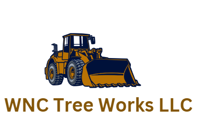 All Photos for WNC Tree Works LLC in Murphy,  North Carolina