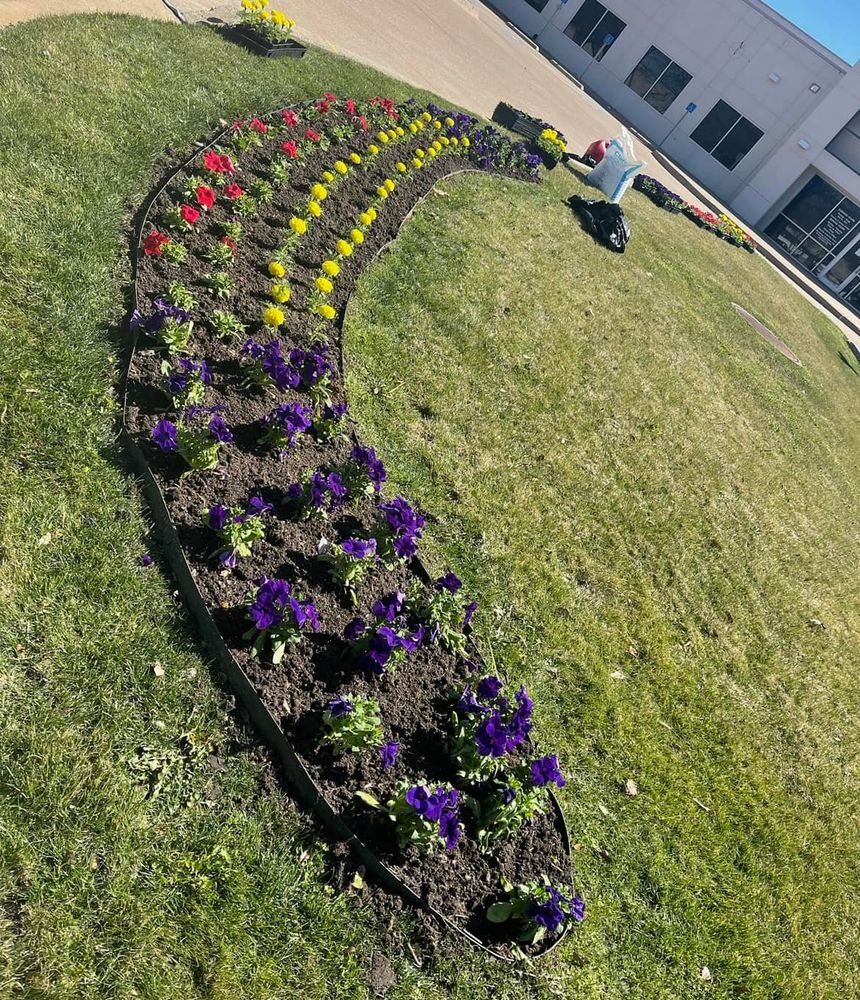 Seasonal color changes for Guerrero's Landscape in Fort Worth,  TX