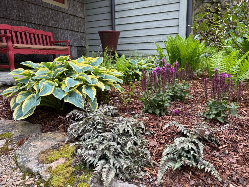 All Photos for Sustainable Lawn and Landscape in Banner Elk, NC