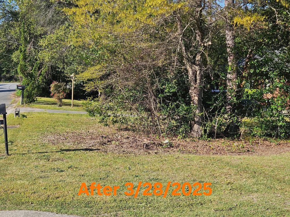 All Photos for Yard Recovery Services in Byron, GA