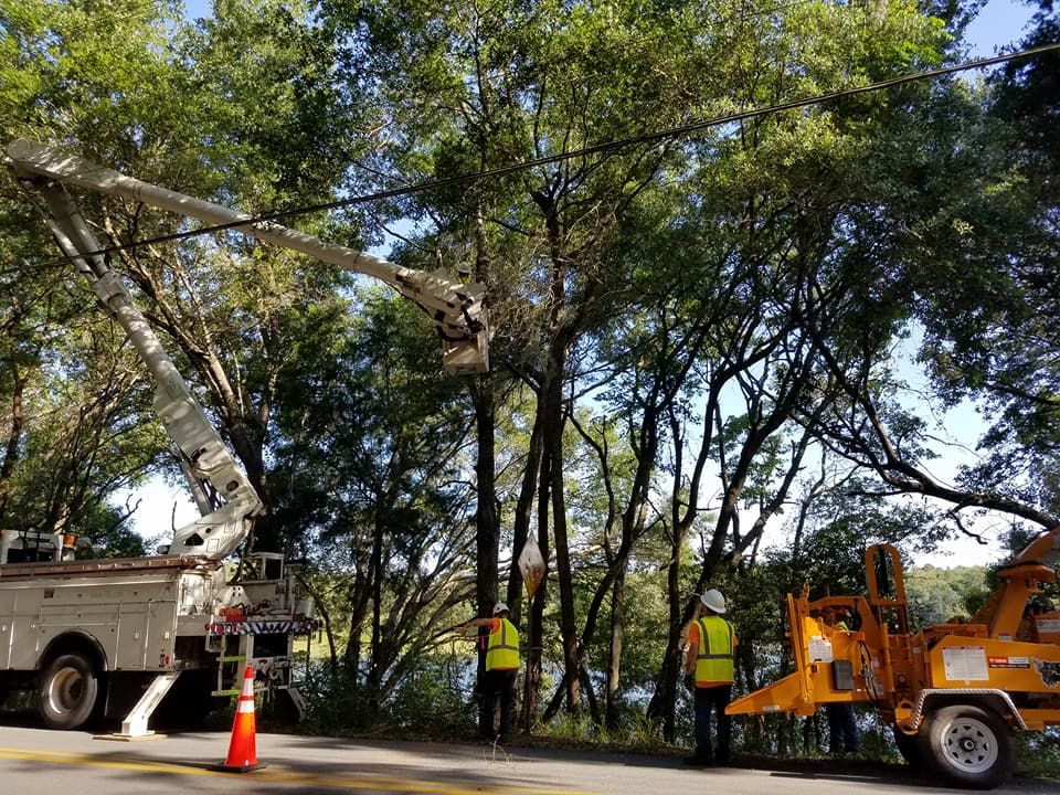 All Photos for Daniel Hickey’s Tree Service in DeLand, FL